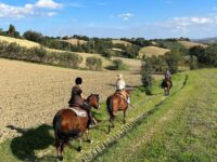 Arrivano i cercatori di tartufo…a cavallo