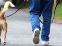 Inciviltà ascolana : Ordinanza comunale contro deiezioni canine