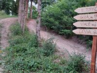 Penna San Giovanni, torna a vivere il Parco delle Saline