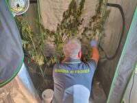 Serra di marijuana in casa scoperta a Urbisaglia