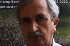 Niente rottamazione cartelle per cratere sismico, Perozzi (Vinea) protesta