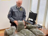 Civitanova, Fiamme Gialle sequestrano 250 kg di marijuana