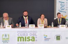 Senigallia, legna dai fiumi per produrre energia