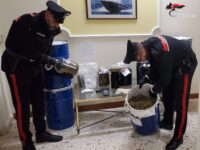 Castignano, 17 chili di marijuana in casa: arrestato