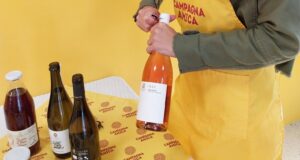 Il Pecorino terzo vino in Italia per incremento di vendite