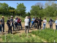 Il Consorzio Marche Bio va a lezione di agroecologia