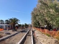 Comitati Porto S.Giorgio : “Salvare le tamerici del lungomare”
