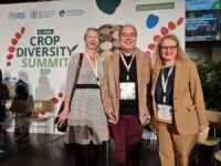 Premio europeo per progetto Politecnica Marche
