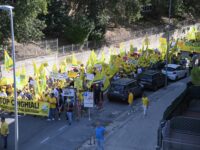 “Fermate i cinghiali ! ” : 2 mila agricoltori in Regione