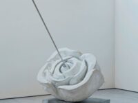 A San Benedetto in mostra la “Rosa Trafitta” di Pistoletto