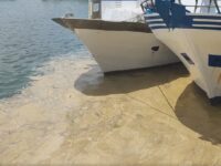 Mucillagini, a San Benedetto allarme per turismo e pesca