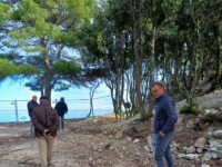 Terrazze di Portonovo, 50 alberi per il ripristino dell’area