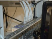 Aziende e web : Marche fanalino di coda nella digitalizzazione